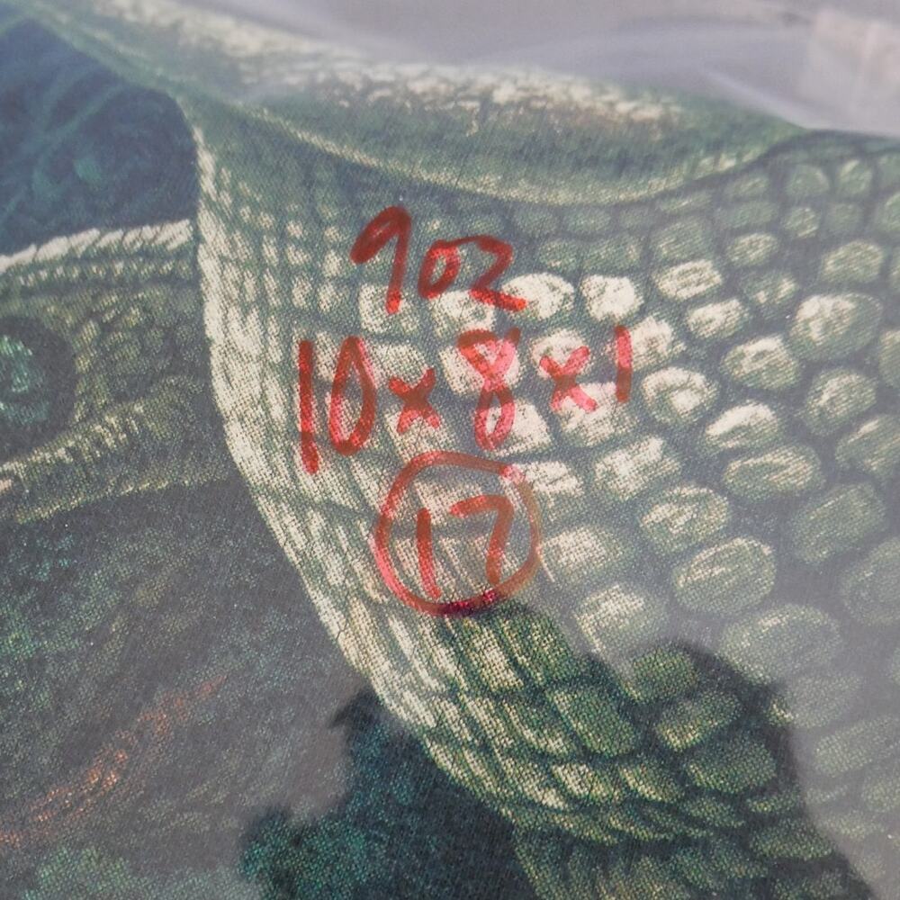 Vintage Y2K Tultex Alligator & Python Indian Reservation Graphic Mens Size XL - Picture 10 of 10